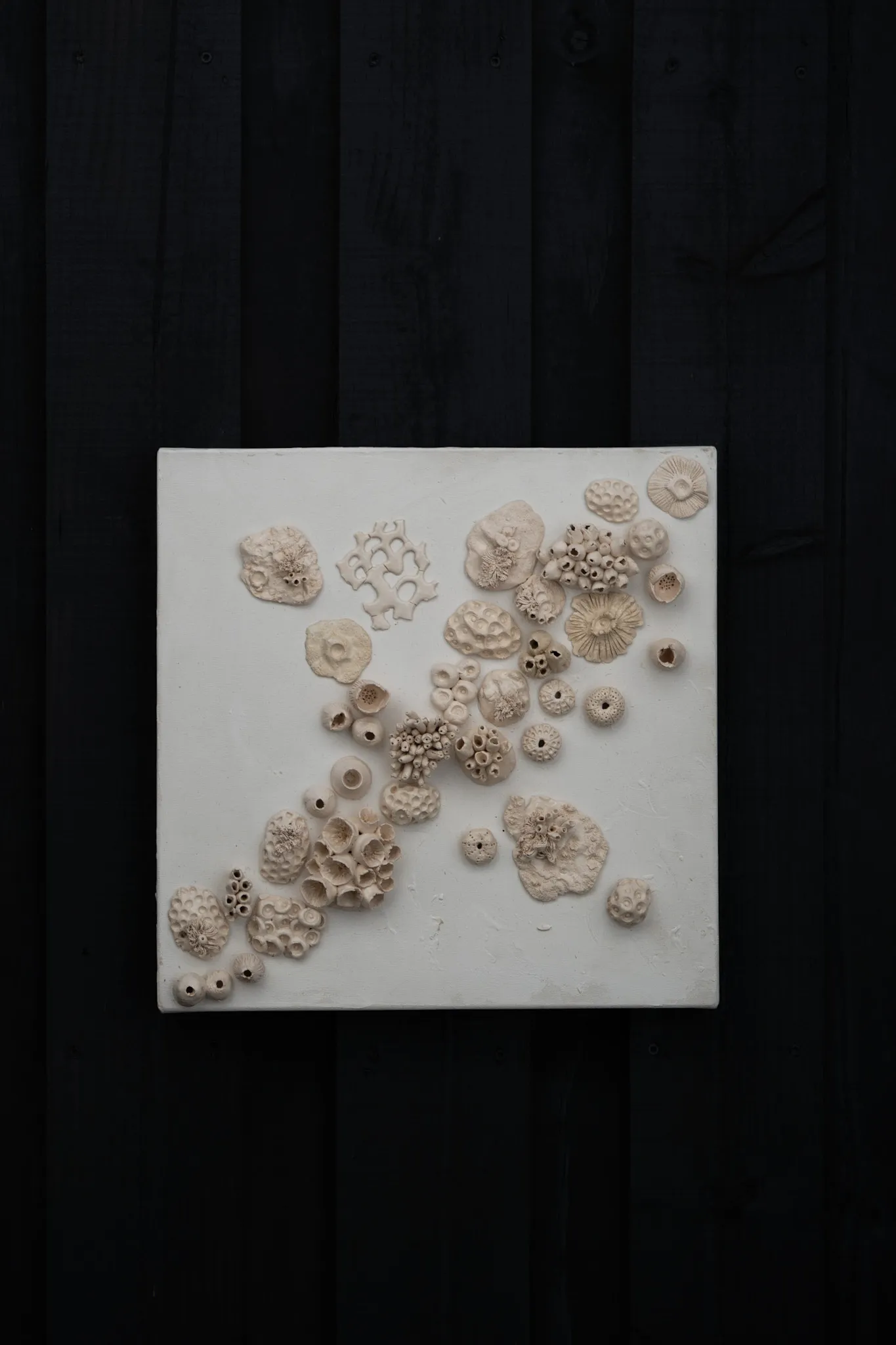 Square canvas on a black wood wall. Pale ceramic rosettes and pierced discs are strewn from the lower left toward the upper right, thinning as they go.