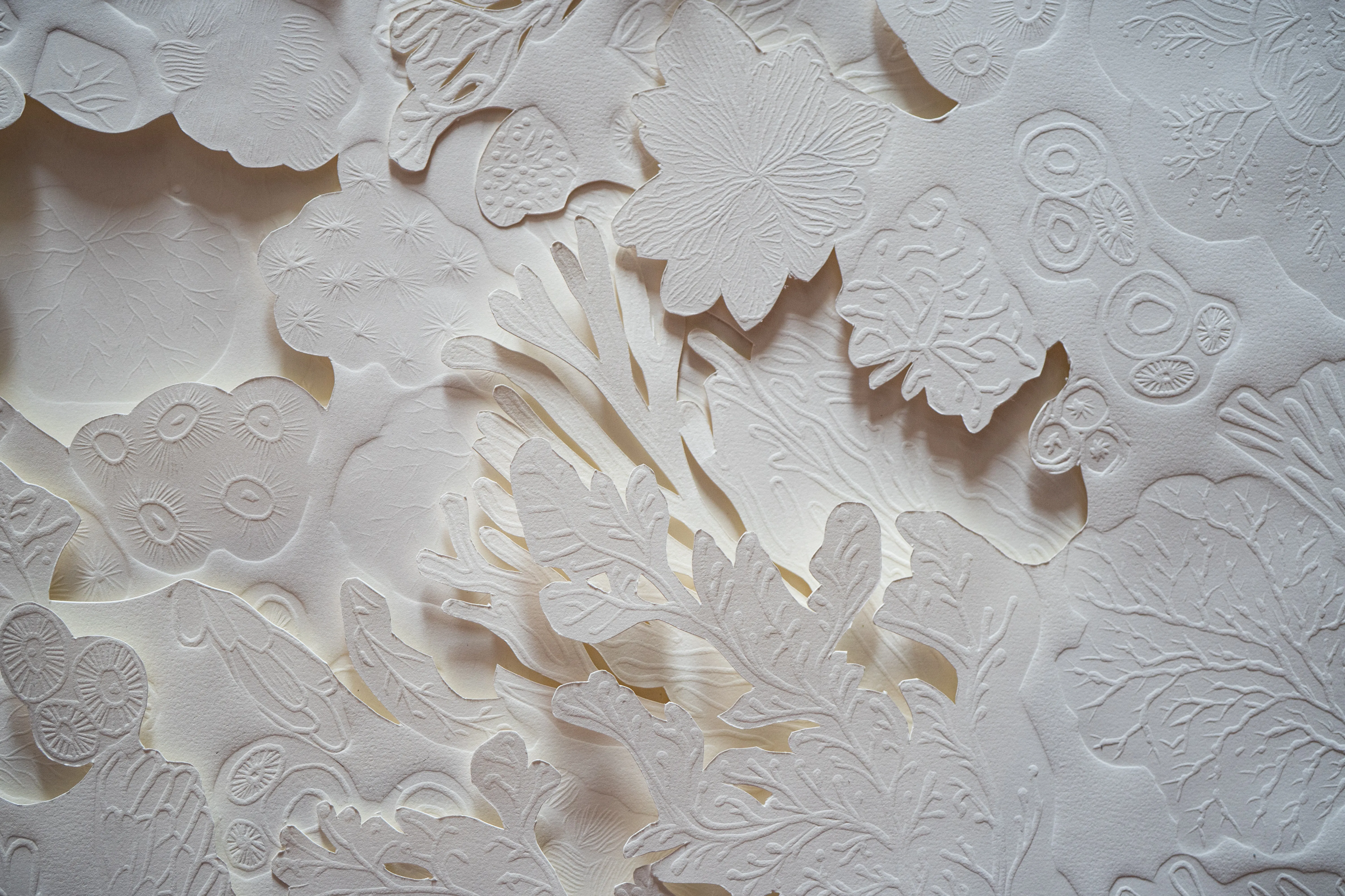 Detail of a white embossed cotton paper relief. Hand-cut petals, fronds and discs overlap in shallow layers, raked by low light that throws soft shadows into the cuts.