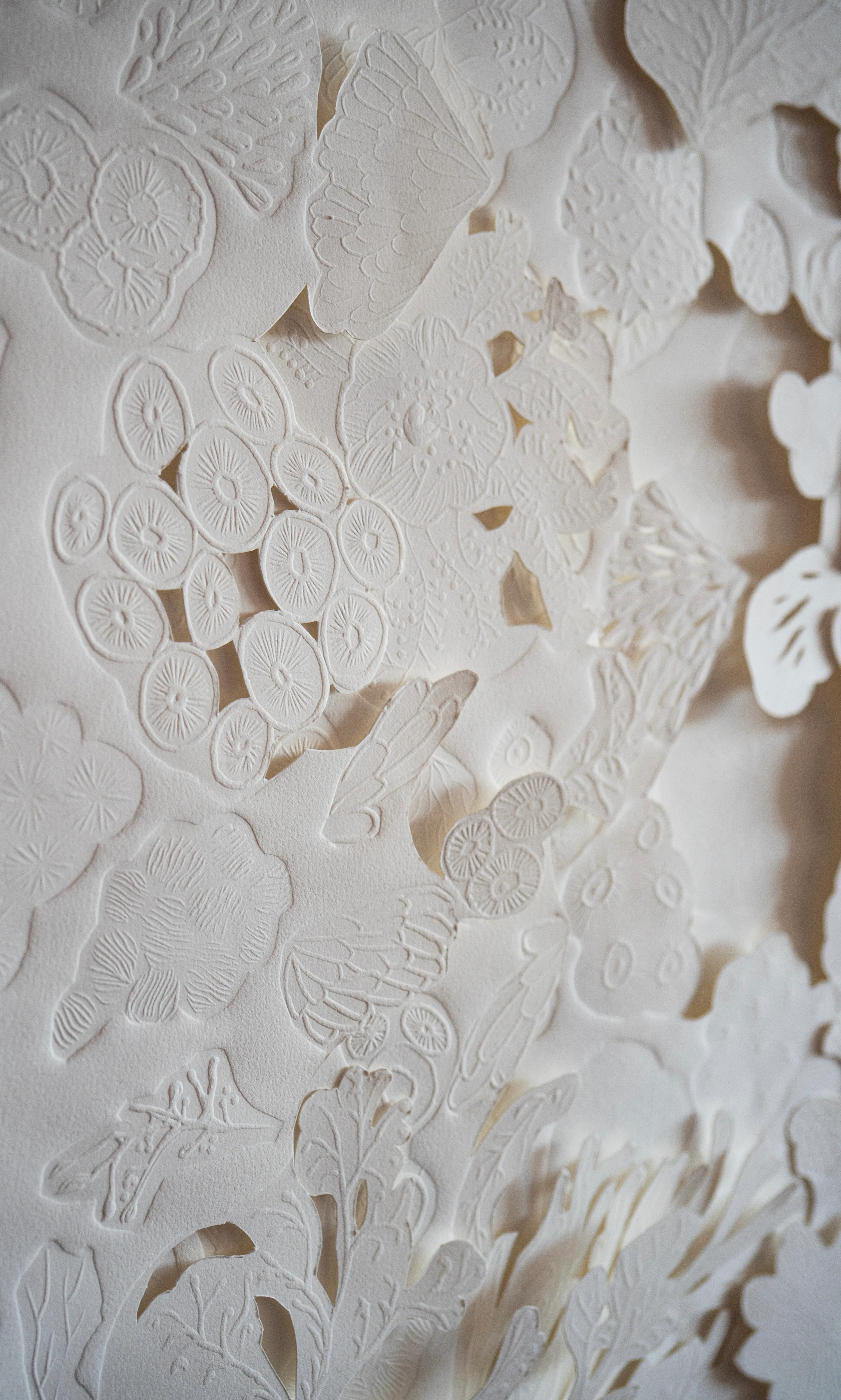 Close detail of an embossed cotton paper relief. Hand-cut discs, blossoms and leaf shapes layer over a field of finer embossed pattern, all of it white, read only through the shadows in the cuts.